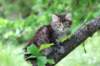 yonasboy65weeks17628_small.jpg