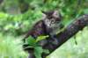 yonasboy65weeks17629_small.jpg