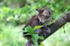 yonasboy65weeks17630_small.jpg