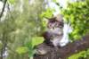yonasboy65weeks17633_small.jpg