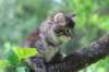 yonasboy65weeks17637_small.jpg