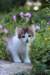 yocef85viikkoa29610_small.jpg