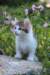 yocef85viikkoa2964_small.jpg