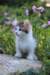 yocef85viikkoa2965_small.jpg