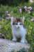 yocef85viikkoa2966_small.jpg