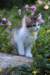 yocef85viikkoa2967_small.jpg