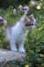 yocef85viikkoa2968_small.jpg