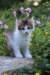 yocef85viikkoa2969_small.jpg