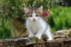 yozefboy45weeks2614_small.jpg