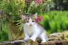 yozefboy45weeks2615_small.jpg