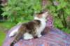 yozefboy45weeks2619_small.jpg