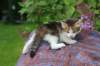 yozefboy45weeks2623_small.jpg
