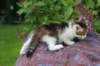 yozefboy45weeks2624_small.jpg
