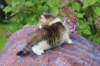 yozefboy45weeks2626_small.jpg