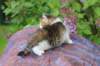 yozefboy45weeks2627_small.jpg