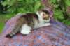 yozefboy45weeks2629_small.jpg