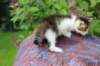 yozefboy45weeks2638_small.jpg