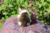 yozefboy45weeks2641_small.jpg