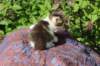 yozefboy45weeks2642_small.jpg