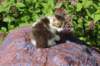 yozefboy45weeks2643_small.jpg