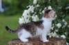 yozefboy65weeks16611_small.jpg