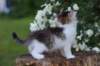 yozefboy65weeks16613_small.jpg