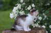 yozefboy65weeks16616_small.jpg