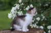 yozefboy65weeks16617_small.jpg