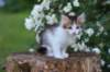 yozefboy65weeks16618_small.jpg