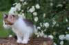 yozefboy65weeks16620_small.jpg
