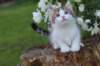 yozefboy65weeks1664_small.jpg