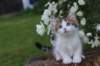 yozefboy65weeks1665_small.jpg