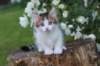 yozefboy65weeks1667_small.jpg