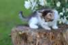 yozefboy65weeks1669_small.jpg