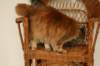 img_3862_small.jpg
