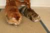 img_3878_small.jpg