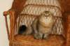 img_3894_small.jpg
