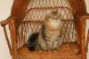 img_3898_small.jpg