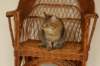img_3900_small.jpg