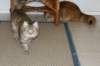 img_3903_small.jpg