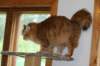 img_3962_small.jpg