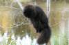 img_6027_small.jpg