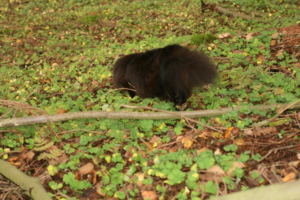 img_6090.jpg