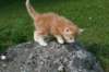 img_7013_small.jpg