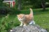img_7039_small.jpg