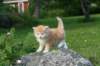 img_7043_small.jpg