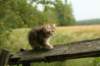 img_9391_small.jpg
