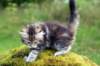 img_8624_small.jpg