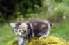 img_8630_small.jpg