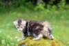 img_8631_small.jpg